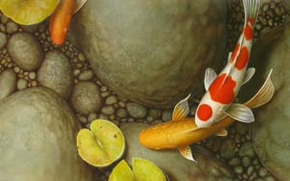 Картинка картина, пруд, кувшинка, кои, карп, галька, камни, листья, рыбки, Terry Gilecki, арт