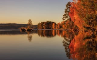 Картинка осень, осенние, время года, сезоны, сезонные, лес, деревья, дерево, природа, вода, озеро, пруд, отражение