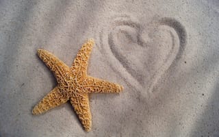 Обои Морская звезда, рисунок, сердечко, песок