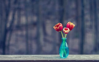 Картинка ваза, поверхность, доска, тюльпаны, три