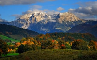 Картинка горы, гора, природа, пейзаж, лес, деревья, дерево, осень