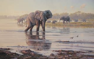 Картинка картина, слоны, саванна, птицы, пейзаж, Colin Richens, водопой, животные, деревья, река, арт, Африка