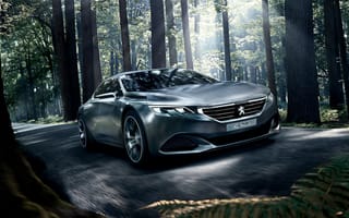 Картинка Peugeot, exalt, Пежо, машины, машина, тачки, авто, автомобиль, транспорт, лес, деревья, дерево, природа, вечер