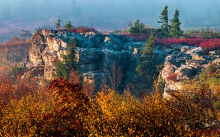 Картинка осень, деревья, скалы, туман