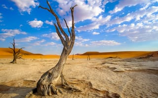 Картинка Мертвая долина, Мертвая Долина, пустыня, сухой, дерево, пейзаж, Намиб, Намибия, Африка, природа, облака, туча, облако, тучи, небо