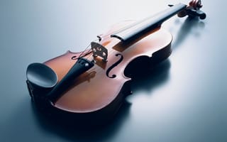 Обои скрипка, музыка, струны, музыкальные инструменты
