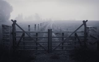 Картинка забор, ворота, вечер, туман, природа