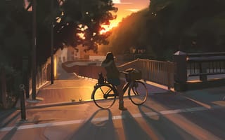 Картинка девушка, девочка, велосипед, улица, город, вечер, закат, рисованные, арт