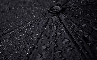 Картинка зонт, разные, капли, капли воды, капли дождя, дождь, роса, влага