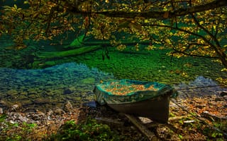 Картинка осень, осенние, время года, сезоны, сезонные, вода, озеро, пруд, ветка, дерево, лодка, лист, листья, листва