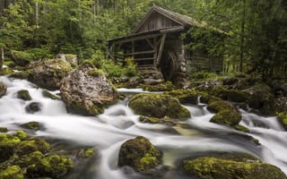 Картинка лес, мельница, Gollinger Mill, мох, Austria, река, Австрия, камни