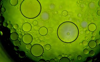 Картинка абстрактные, aбстракция, пузыри, пузырь, жидкость, жидкий, зеленый