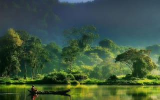 Картинка природа, лес, деревья, дерево, вода, озеро, пруд, лодка