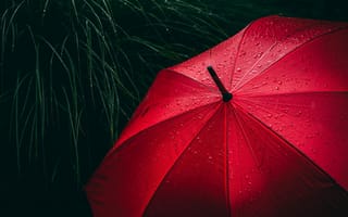 Картинка зонт, разные, капли, капли воды, капли дождя, дождь, роса, влага, красный