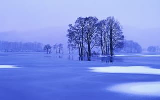 Картинка Озеро, снег, лед, деревья, пейзаж, синий, природа, зима