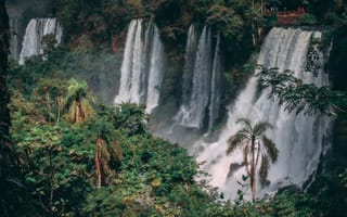 Картинка водопад, природа, джунгли, лес, тропический, тропики