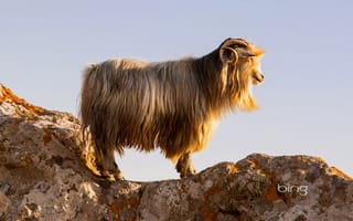 Картинка коза, небо, скала, Лемнос, Греция, горы, остров