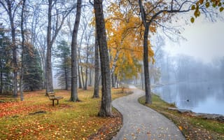Картинка осень, осенние, время года, сезоны, сезонные, парк, природа, вода, озеро, пруд