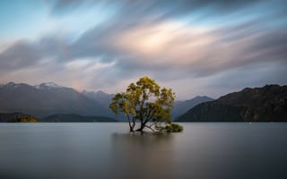 Картинка Ванака, Новая Зеландия, озеро, дерево, озера, природа, вода, пейзаж, вечер, сумерки