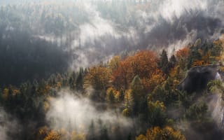 Картинка осень, осенние, время года, сезоны, сезонные, лес, деревья, дерево, природа, скала, облака, туча, облако, тучи, небо, облачно, облачный, туман, дымка