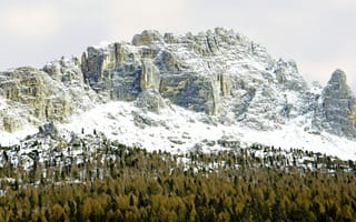 Картинка горы, гора, природа, скала, лес, деревья, дерево, зима, снег