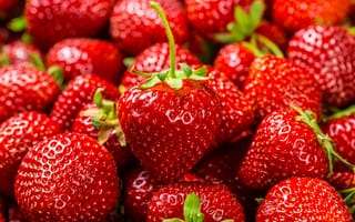 Обои fresh berries, ягоды, клубника, strawberry