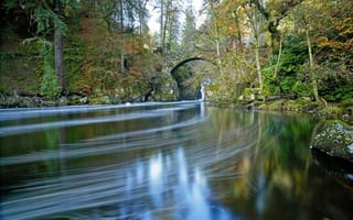 Картинка лес, осень, арка, парк, пруд, река, деревья, мост