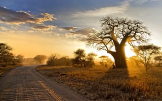 Картинка пейзаж, дорога, Африка, утро