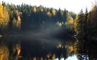 Картинка осень, осенние, время года, сезоны, сезонные, лес, деревья, дерево, природа, вода, озеро, пруд, отражение