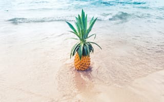 Картинка ананас, тропический, фрукт, фрукты, океан, море, берег, пляж