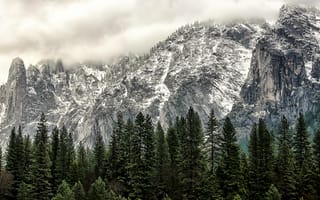 Картинка Йосемитский Национальный Парк, Йосемитский, национальный парк, США, Калифорния, горы, гора, природа, скала, лес, деревья, дерево, ель, елка, облачно, облачный, облака, туман, дымка