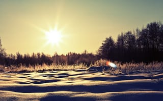 Картинка деревья, зима, солнце, снег, природа, сугробы