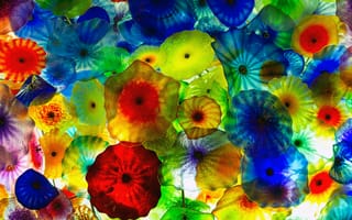 Картинка медуза, подводный мир, щупальца, глубоко, океан, море, вода, животное, подводный, цветной, разноцветный, цвета