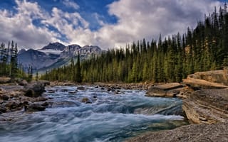 Картинка Mistaya River, лес, Alberta, река, Canada, Канада, горы, камни, деревья