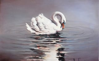 Картинка живопись, белый, вода, отражение, лебедь