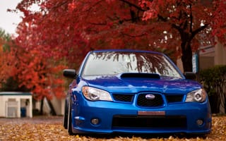 Картинка Subaru, природа, осень, листва