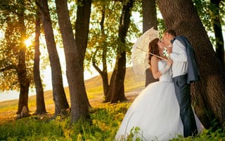 Картинка жених, зонтик, счастье, невеста, свадьба, любовь, платье, зелень, деревья, поцелуй, парень, трава, девушка