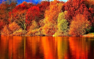 Картинка осень, осенние, время года, сезоны, сезонные, лес, деревья, дерево, природа, река, вода, озеро, пруд