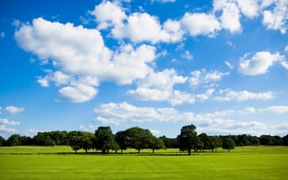 Картинка Peace Of Nature, поле, дерево, зелень, небо, много, облака