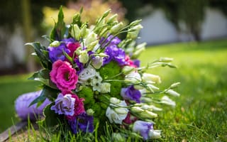 Обои эустома, flowers, букет, цветы, eustoma, bouquet