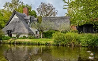 Картинка Bridge Cottage, река, England, деревья, соломенной коттедж, Англия, Flatford, утки