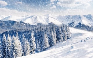 Картинка снегопад, облака, горы, зима, лес, ёлки