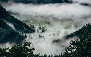 Картинка природа, гора, лес, деревья, дерево, туман, дымка, облачно, облачный, облака