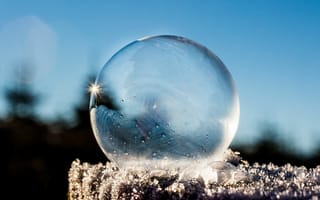 Картинка пузырь, иней, изморозь, белый, зима, лед, зимние, время года, сезоны, сезонные