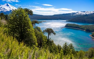 Картинка Чили, национальный парк, парк, озера, озеро, природа, вода, пейзаж, гора