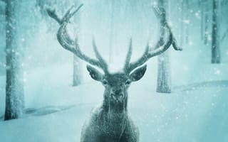 Картинка олень, животные, животное, природа, зима, снег