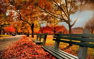Картинка осень, осенние, время года, сезоны, сезонные, парк, природа, лист, листья, листва
