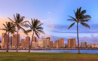 Картинка Гавайи, США, город, города, здания, пальма