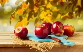 Картинка яблоко, фрукт, фрукты, осень