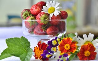 Картинка клубника, ягода, ягоды, фрукты, фрукт, цветок, цветущий